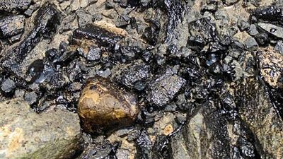 Sharjah authorities are working on a monitoring system to spot slicks before they reach the coast. Courtesy Kalba Fshermen's Association