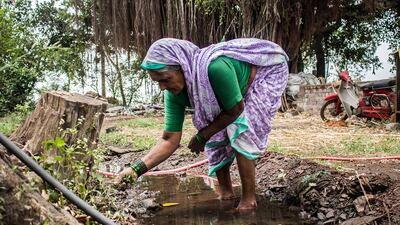 Kusum Gaikwad hand-picking the mhaka (eclipta prostrata) leaves used to make organic kohl.