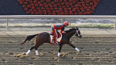 Classic Empire gallops on the track at Pimlico ahead of the Preakness Stakes. Patrick Semansky / AP Photo