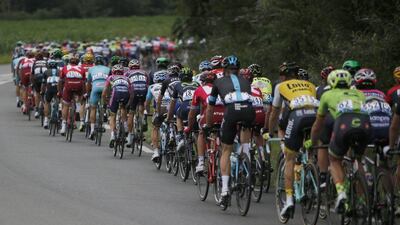 The peloton in action during Stage 8 of the 103rd Tour de France cycling race over 184km between Pau and Bagneres-de-Luchon, France, 09 July 2016. Yoan Valat / EPA