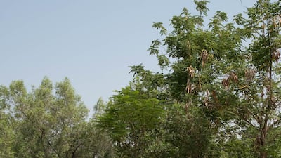 “I was determined to go for a white pool as I really wanted to keep the look as light and bright as possible," says Giovanna Gemmell. Anna Nielsen / The National