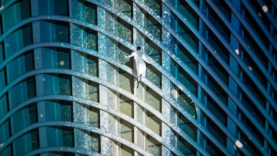 The venue is primed to be a jewel in the crown of Abu Dhabi's Saadiyat Cultural District