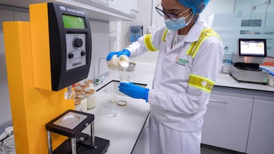 Crystal D'Costa, a microbiologist at the Pinar factory in Abu Dhabi, carries out some tests on the cheese in the lab. Victor Besa / The National