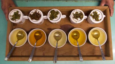 Darjeeling produces teas throughout the year. The first flush or the spring tea is the premium tea. It is pale and light and is harvested in March