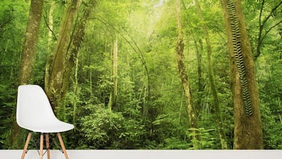 Here are some tips on how to green your home for those living in the UAE’s high-rise tower blocks that feel the need to reconnect with nature. Courtesy Murals Wallpaper