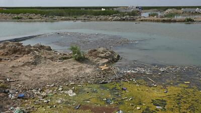 Polluted Iraqi marshland in the southern district of Chibayish. In a country where the state cannot guarantee basic services, 70 percent of Iraq's industrial waste is dumped directly into rivers or the sea, according to the UN and academics. The marshland, reputed to be the site of the Garden of Eden, previously faced destruction at the hands of Saddam Hussein and is now jeopardised by poor wastewater management and climate change. AFP