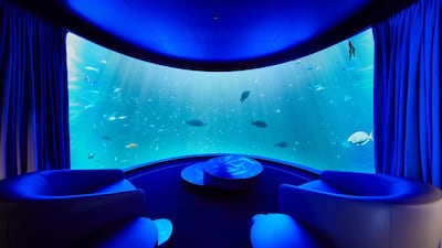 Who needs a TV when you have this in your living room? Justin Nicholas