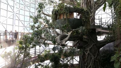 Guests get an early look around the Green Planet Dubai at the City Walk area. The project opens to the public on Thursday at 10am. Pawan Singh / The National