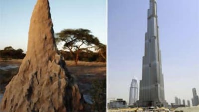 A termite mound, left, is built with a ventilation system researchers believe could be harnessed by architects. Right, the Burj Dubai.