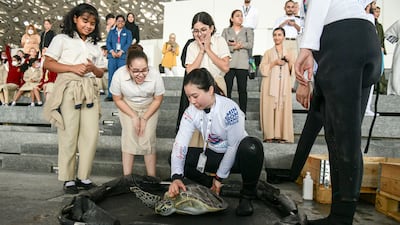 The Wildlife Rescue Programme, which started in 2020, has released more than 500 rehabilitated sea turtles back into the wild