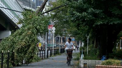 A man rides his bicycle under the fallen branch of a tree hanging on wires after typhoon Jebi's passage in Osaka, western Japan. EPA