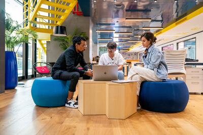 Mamo team. Photo: Mamo