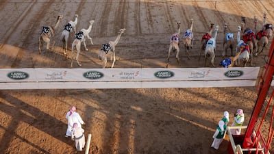 The traditional sport of the region began as a social element of events such as weddings, but professional competitions took off in the 1980s. AFP