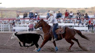 Jessie Springer tosses a lasso around a calf at the rodeo in Truth or Consequences, New Mexico. Many agree that Spaceport America should inject new energy into the town. Lucy Nicholson / Reuters
