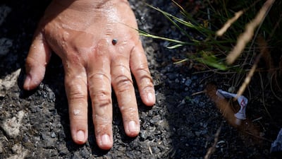 An activist blocks a road with a hand glued to the tarmac during a protest on the opening day of the International Aerospace Exhibition ILA at Schoenefeld Airport in Berlin. Reuters