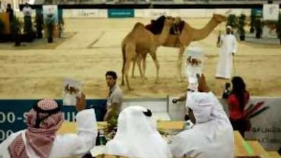 Men participate in a camel auction at the International Hunting and Equestrian Exhibition.