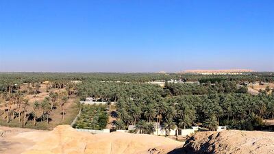 Al Ahsa Oasis in Saudi Arabia, above, and Qalhat in Oman have been awarded Unesco World Heritage status. EPA