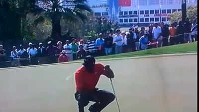 Tiger Woods spat on the 12th green at the Dubai Desert Classic.