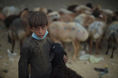 An Afghan vendor waits for customers at a livestock market ahead Eid Al Adha. Shah Marai / AFP