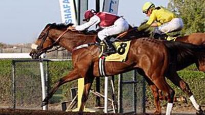 Montpellier, left, seen in a tight finish at Jebel Ali last month, runs in today's President's Cup.