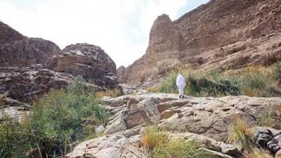 Wadi Wurayah in Fujairah is known for being the last refuge of rare animals such as the Arabian tahr, Caracal lynx and possibly even the Arabian leopard, and is also home to around 300 plant species. Jeffrey E Biteng / The National