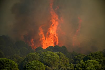 Flames rise from a wildfire in San Martin de Valdeiglesias in Avila, Spain, on Sunday. Reuters