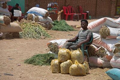 A vendor sells animal feed at a livestock market ahead of Eid Al Adha in Al Hasaheisa, about 120km south of Sudan's capital. AFP