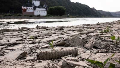 Young plants grow in the dried mud of the exposed bed of the Rhine near Pfalzgrafenstein Castle in Kaub, Germany. Bloomberg