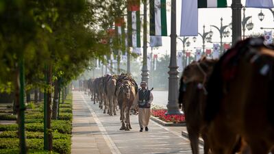 A camel rider at Qasr Al Watan