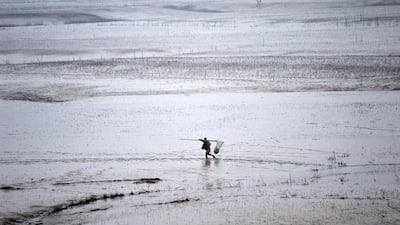 A man walks along the bank of the Yellow River to fish as the Sammenxia Dam discharges flood waters downstream, in Pinglu, Shanxi province. China Daily
