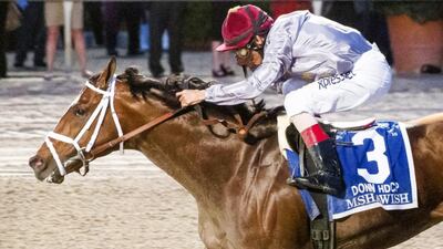 Mshawish with jockey John Velazquez abaord wins the Donn Handicap at Gulfstream Park on February 6, 2016 in Hallandale Beach, Florida. Arron Haggart / Getty Images