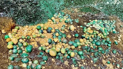 The intrepid team found cave pearls that shone through underground waterfalls.