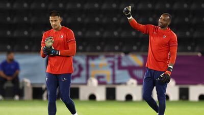 France goalkeepers Alphonse Areola and Steve Mandanda. Getty