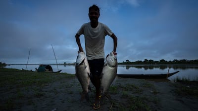 A member of the Mishing tribe carries his catch after fishing in Janji river in upper Assam, India. AP