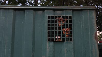 Recaptured inmates inside a prison vehicle. AFP