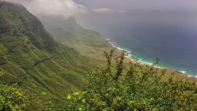 About an hour or so before you hit Salalah, the landscape will start changing – smatterings of greenery will begin to appear on the sand and, suddenly, you’ll find yourself enshrouded by a misty, lush green landscape. Courtesy Ministry of Tourism – Oman
