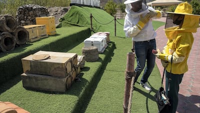 Guests learn about the types of trees that produce the honey, as well as types of hives