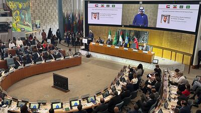 Sheikh Shakhbout bin Nahyan speaks at the humanitarian conference for the people of Sudan in Addis Ababa. Vanessa Ghanem / The National