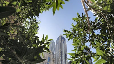The impressive skyline in Dubai Marina is made up of 152 imposing towers. Pawan Singh / The National