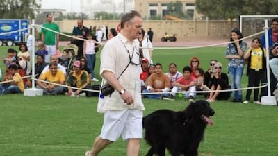 Richard Watson puts his labrador/newfoundland cross Toby through his paces at the show yesterday.