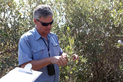Edwin Grandcourt pictured in 2013 in mangroves in Abu Dhabi. Fatima Al Marzooqi / The National