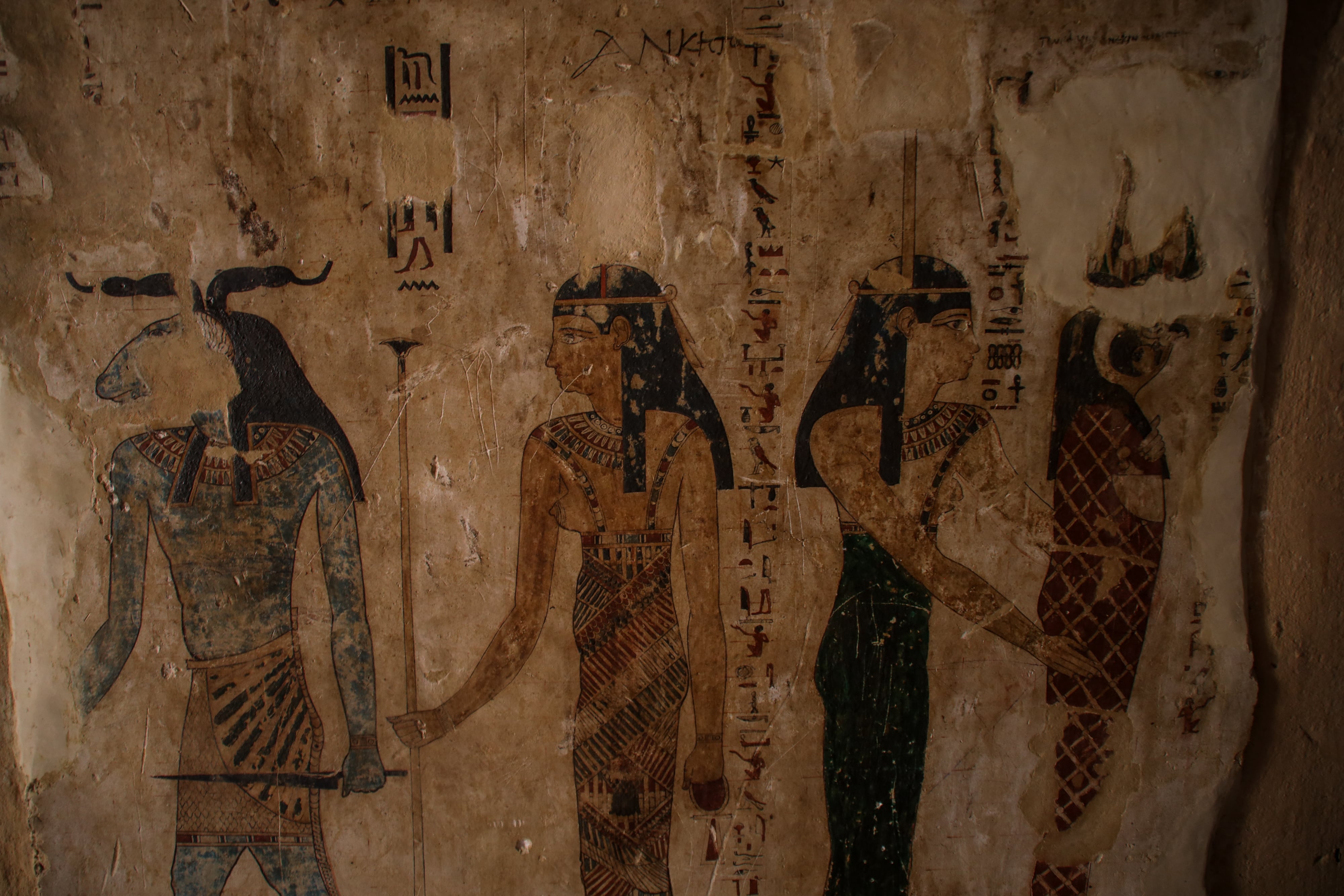 Get your fix of culture, history and ecotourism in Siwa Oasis. AFP