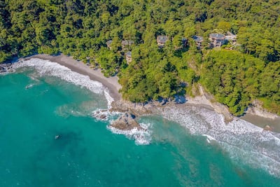 Costa Rica's Arenas Del Mar offers tree-planting programmes and has in-house naturalists. Photo: BeyondGreen