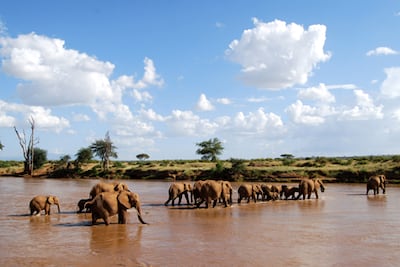 Late May typically brings greener landscapes in Nairobi. Susan Hack for The National
