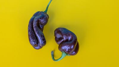 Perfectly edible and nutritious produce often goes to waste because it is misshapen. Enter the ugly food movement. Photo: HeroGo