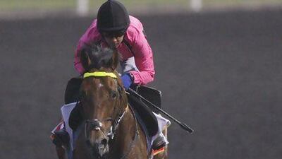 Joshua Tree has found a new home.