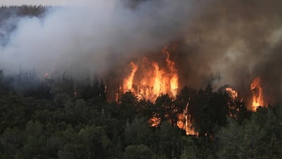 A forest fire burns near Jerusalem. AP