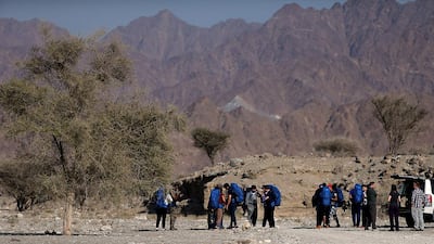 Satish Kumar / The National