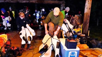 Washington State Department of Agriculture workers pull on protective suits before attempting to eradicate a nest of Asian giant hornets from a tree in Blaine, near the US border with Canada, early on October 24, 2020. AP Photo