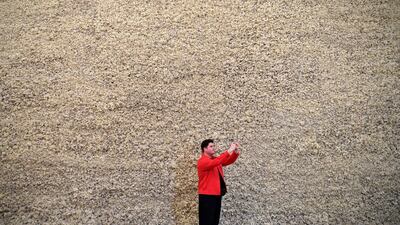 A man views Danish-Icelandic artist Olafur Eliasson's work 'Moss Wall' (1994). Photo: EPA